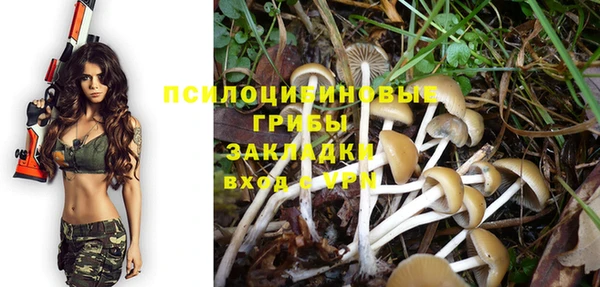 ALPHA PVP Краснотурьинск